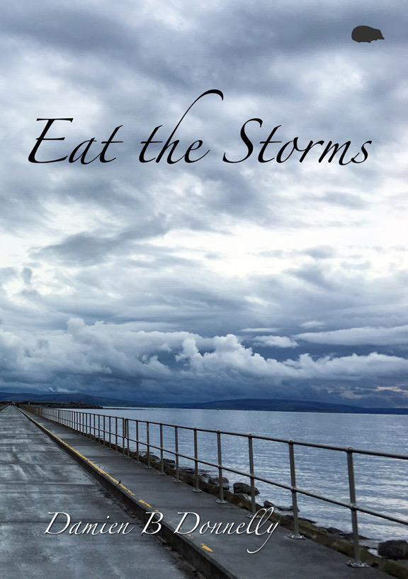 Eat the Storms- Damien B. Donnelly